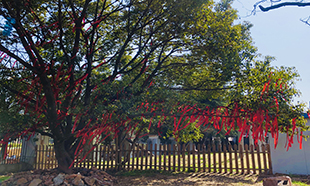 电商风采